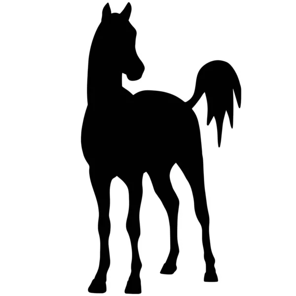 Black Silhouette Horse Icon Stallion — Stock Photo, Image