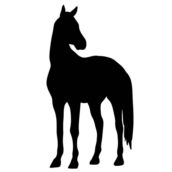 Black Silhouette Horse Icon Stallion — Stock Photo, Image