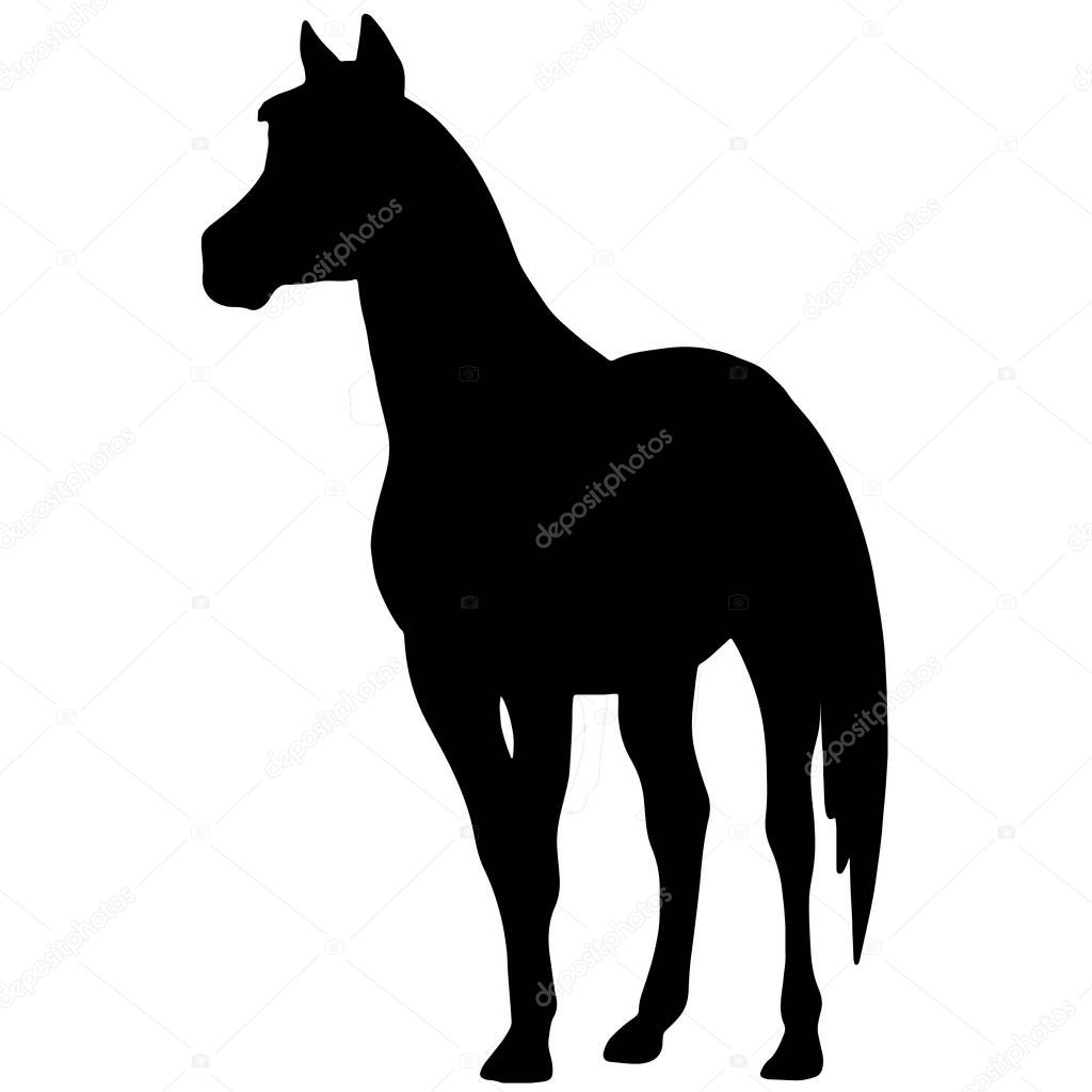 Black silhouette of a horse. Icon of stallion