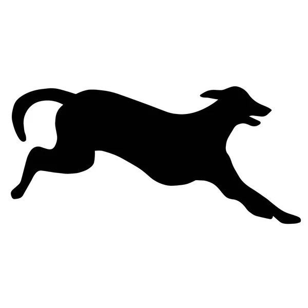 Silhouette Chien Greyhound Courant Illustration Agilité Image Parent Loup — Photo