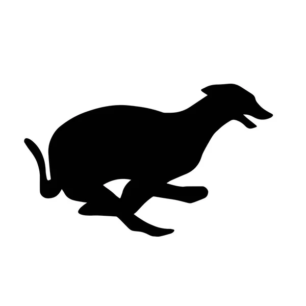 Silhuett Springande Greyhound Hund Ett Illustrativt Exempel Gilitet Bild Vargsläkting — Stockfoto