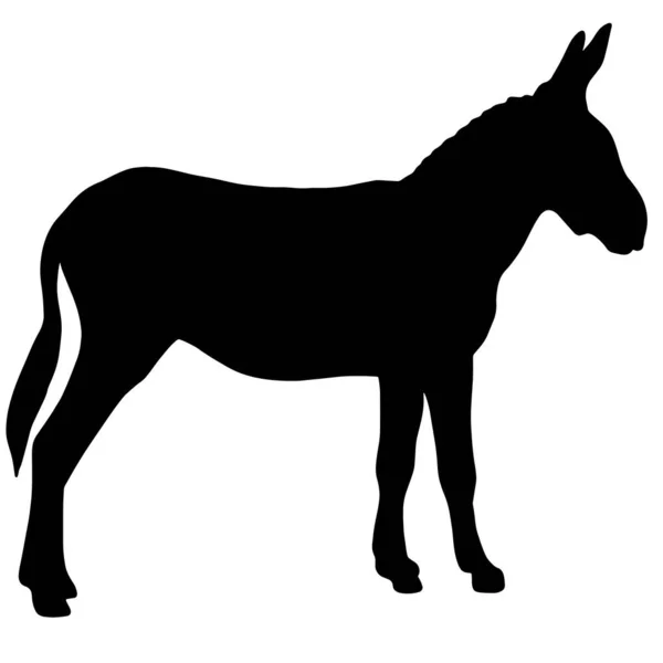 Icono Silueta Burro Ilustración Negra Del Animal Granja — Foto de Stock