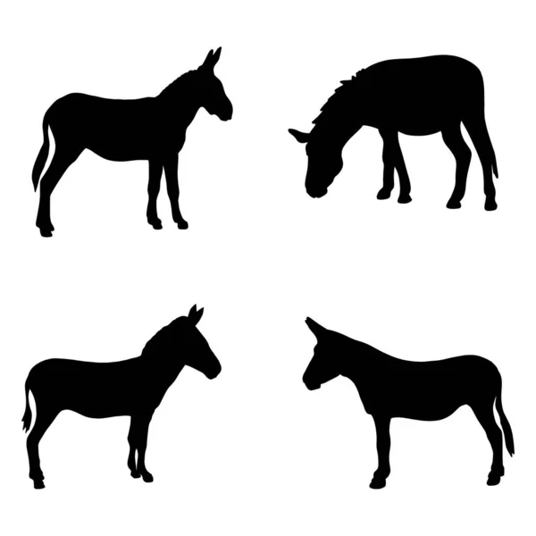 Silhouetten Eines Esels Schwarzer Clipart — Stockfoto