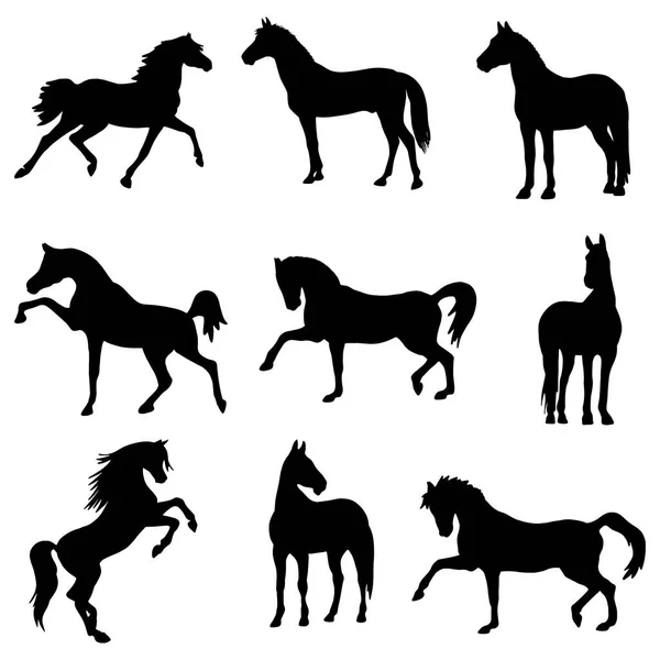 Silhouettes of animals. Horses icons for tattoo