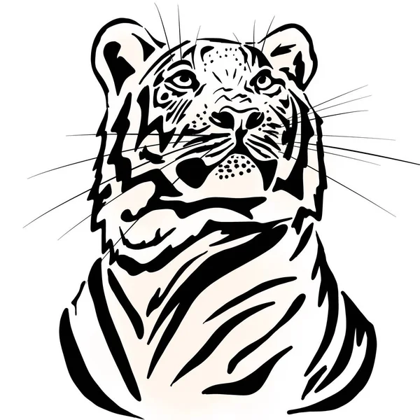 Una Ilustración Tigre Gato Salvaje Con Enormes Garras Colmillos Depredador —  Fotos de Stock