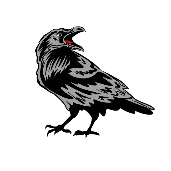 Kara kuzgun ya da karga. Beyaz arka planda bir kuşun silüeti. Cadılar Bayramı ve mezarlığın sembolü. Avcı ve leş yiyici.