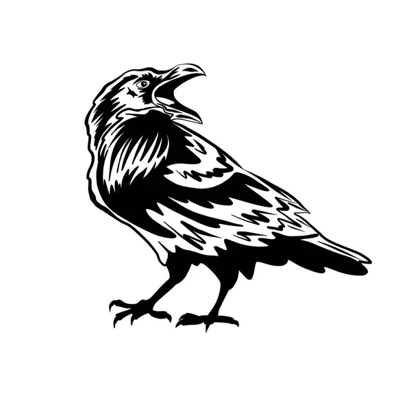 黑乌鸦或乌鸦 白色背景上的鸟的轮廓 万圣节和墓地的象征食肉动物和食腐动物 — 图库照片#