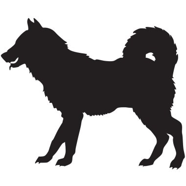 Bir köpeğin silueti.