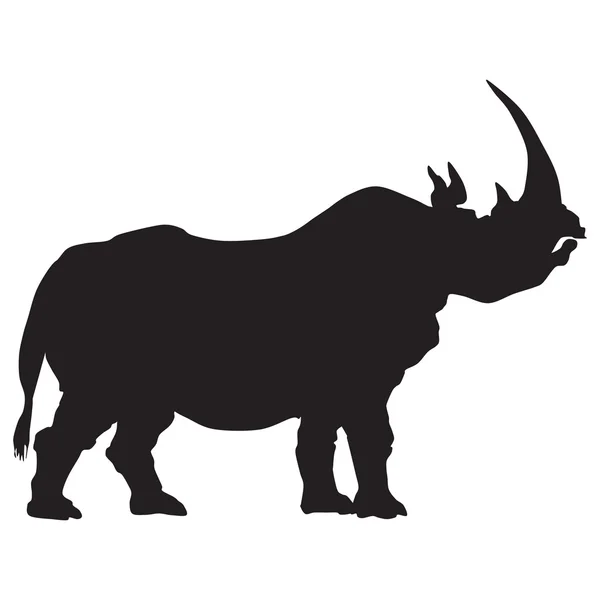 Silhouette de rhinocéros — Photo