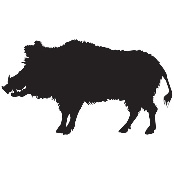 Silhouette of a wild boar — Stock Photo, Image