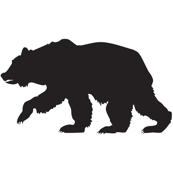 Силуэт медведя-гризли — стоковое фото
