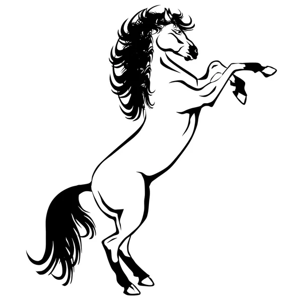 bir yetiştirme white horse