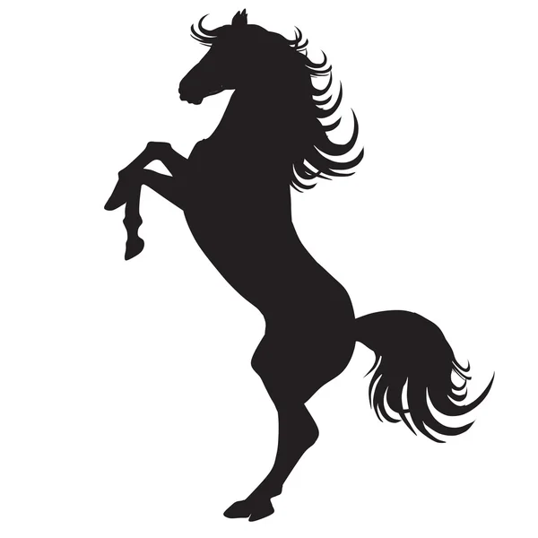 siyah at siluet new1