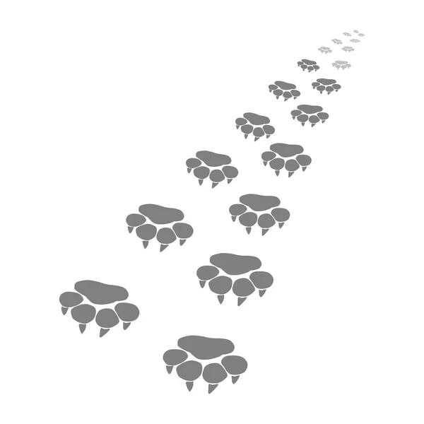 Ayak izleri büyük cat3