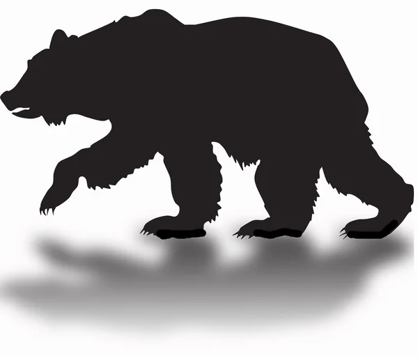 Silhouette of a black grizzly bear — Stock Photo, Image