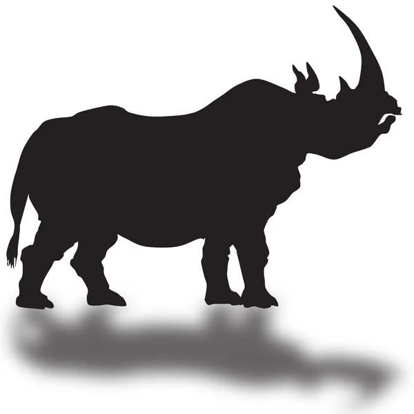 Silhouette de rhinocéros — Photo