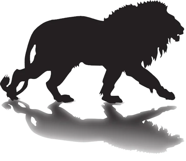 Silhouette of a lion with a shadow — Stock Photo, Image