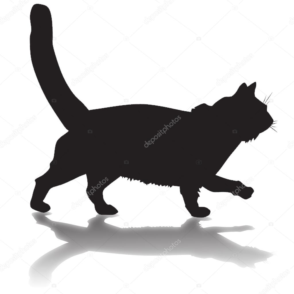 silhouette of a black cat with shadow