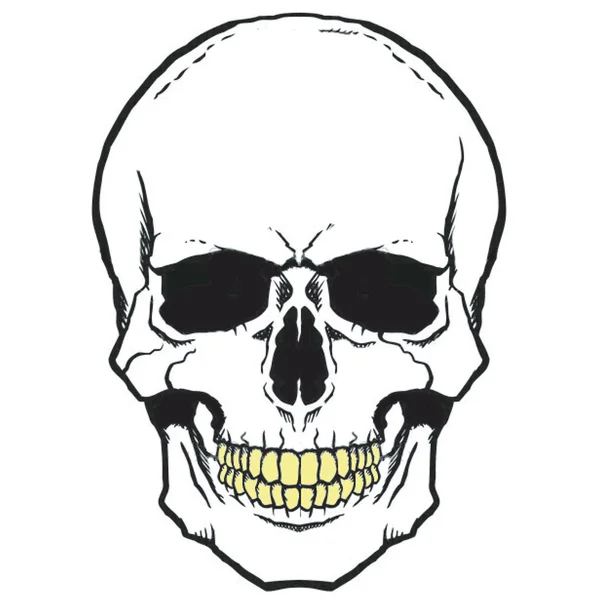 Símbolo pirata Jolly Roger cráneo — Foto de Stock