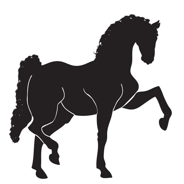 Black horse silhouette — Stock Photo, Image