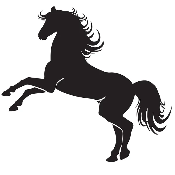 Black horse silhouette — Stock Photo, Image