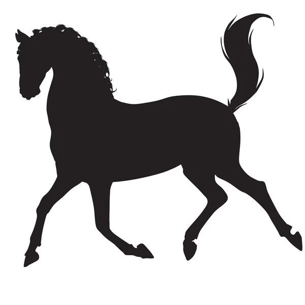 Silhouette cavallo nero — Foto Stock