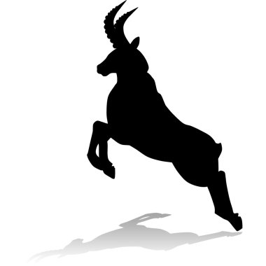 Bir dağ keçisi, uçurumdan aşağı atlamayı silüeti