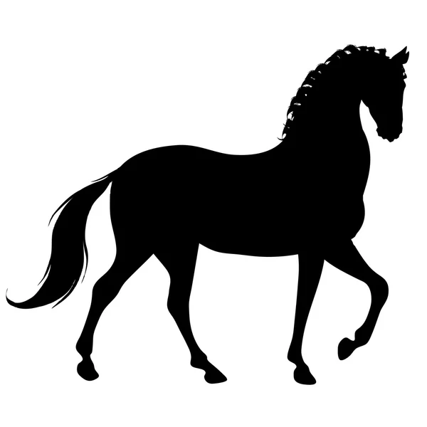 Black horse silhouette — Stock Photo, Image