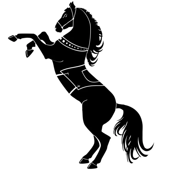 Black horse silhouette — Stock Photo, Image