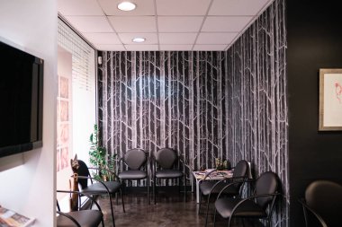 Doğal ışığı olan bir bekleme odası.