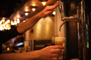 Barmen bira fıçısından bardağa bira dolduruyor.