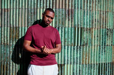 Genç Afro-Amerikan adam doğrudan kameraya bakıyor.