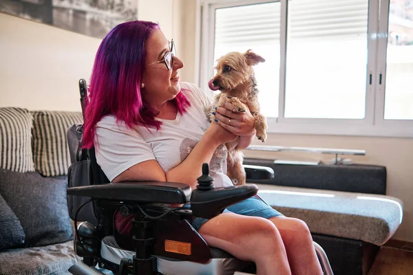 En liten hund gör följeslagare för en vuxen kvinna i rullstol - funktionshinder koncept — Stockfoto