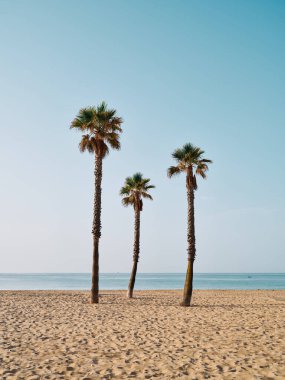 Sakin kumlu sahil, açık mavi gökyüzü bir yaz günü.