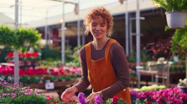 Güzel bir çiçekçide çalışan kıvırcık saçlı neşeli genç bir kadın. Çekici çiçekçi bir seradaki çiçeklerle ilgileniyor.