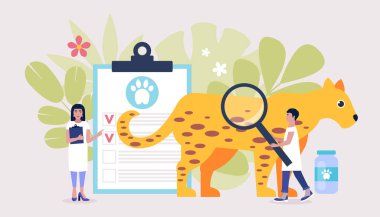 Veteriner bilimi konsepti. Veterinerler Jaguar 'ı kontrol etsin. Renkli düz vektör illüstrasyonu