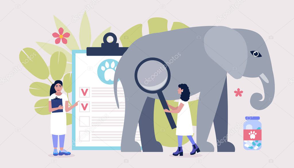 Veterinary science concept. Vets check elephant. Colorful flat vector illustration