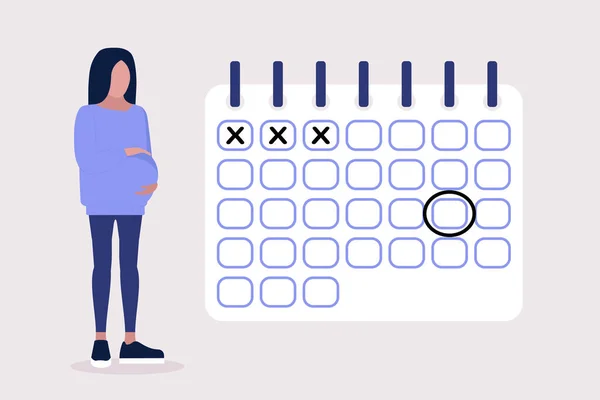 Ilustración Mujer Embarazada Calendario Embarazos Mujer Joven Planeando Fechas Calendario — Vector de stock