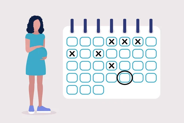 Ilustración Mujer Embarazada Calendario Embarazos Mujer Joven Planeando Fechas Calendario — Vector de stock