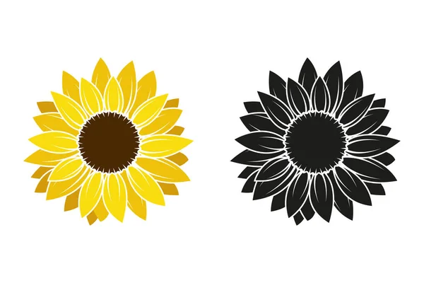 Sunflower flower isolated on white