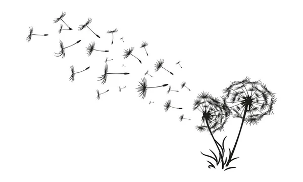 Абстрактный черный одуванчик, одуванчик с иллюстрацией летящих семян — стоковый вектор