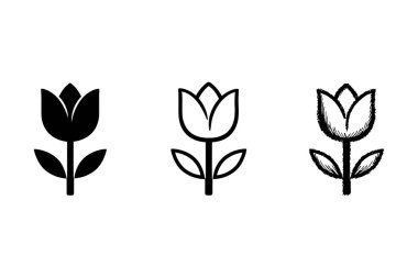 İki farklı lale çiçeği çizgisi, siyah-beyaz Vektör çiziyor. Vektör illüstrasyonu