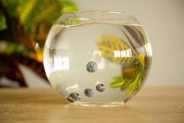 Masadaki su akvaryumunda yeşil bir çiçeğin arka planında yaban mersini var.