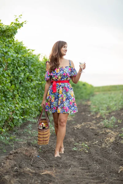 Girl Vineyard Sunset Floral Dress Basket Hands — стоковое фото