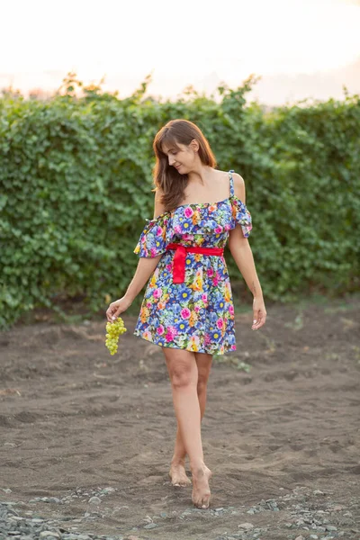 Girl Vineyard Sunset Floral Dress Basket Hands — Stock Fotó