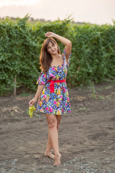 Menina Vinha Por Sol Vestido Floral Cesta Nas Mãos — Fotografia de Stock