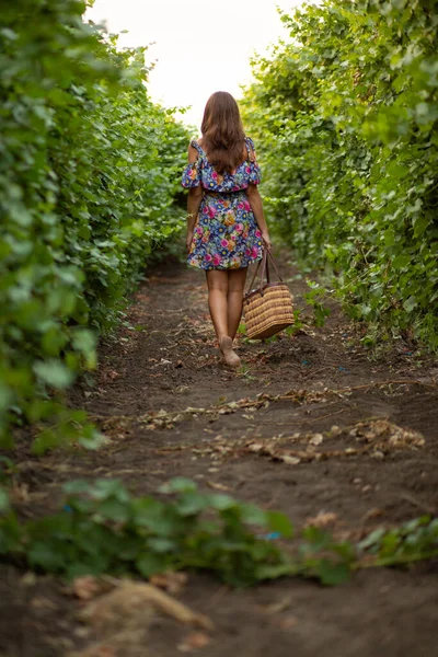 Girl Vineyard Sunset Floral Dress Basket Hands — стоковое фото