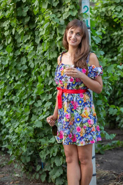 Girl Vineyard Sunset Floral Dress Basket Hands — Stockfoto