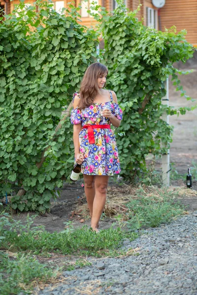 Menina Vinha Por Sol Vestido Floral Cesta Nas Mãos — Fotografia de Stock