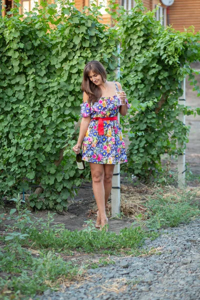 Girl Vineyard Sunset Floral Dress Basket Hands — Stockfoto